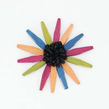 Multi Color Amaya Brooch