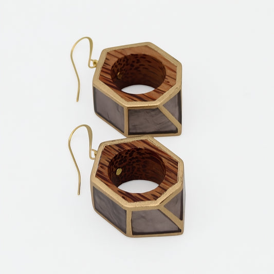 Hexagonal earrings with gold accents on a light gray background